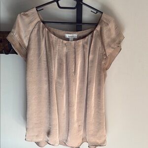 Dressbarn Cream Puff Sleeve Blouse with Pleated Details